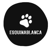 EsquinaBlanca